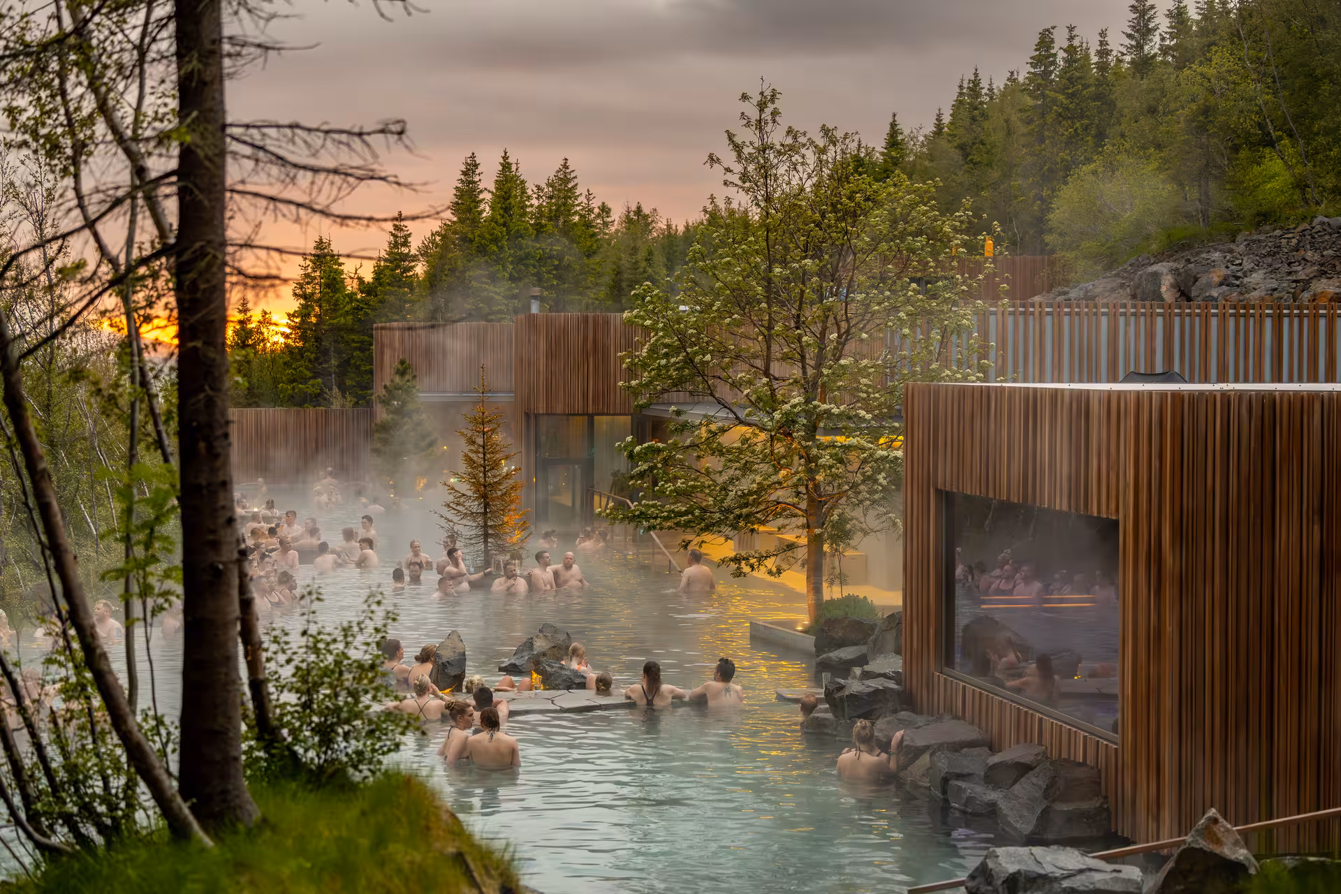 Steaming geothermal Forest Lagoon hot spring pool surrounded by pine trees at sunset in Akureyri, Iceland