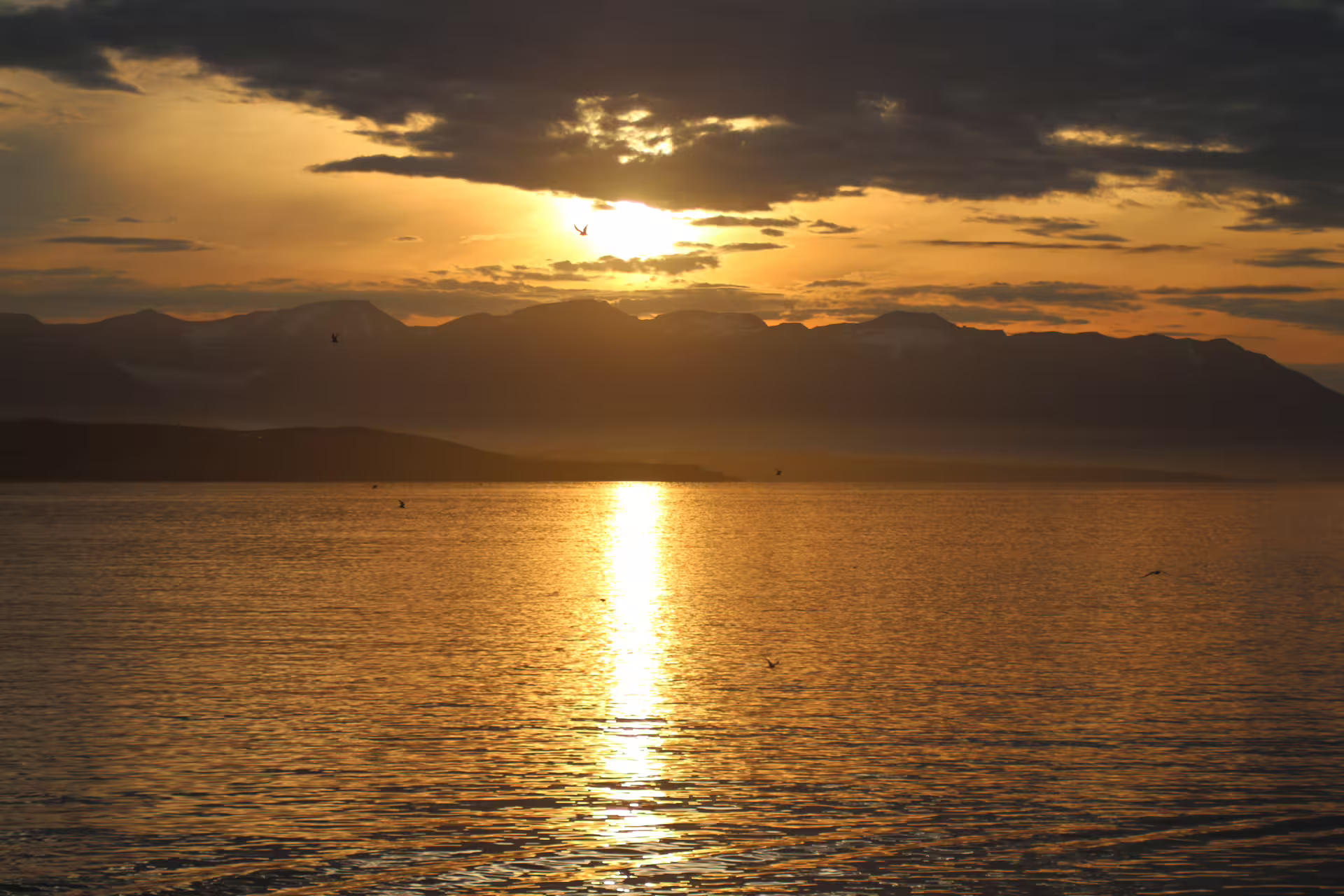 Golden midnight sun reflecting on calm ocean waters with mountain silhouettes in Akureyri, Iceland