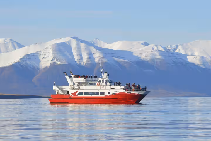 Red whale watching boat with passengers sailing Eyjafjordur Fjord with snow-capped mountains behind