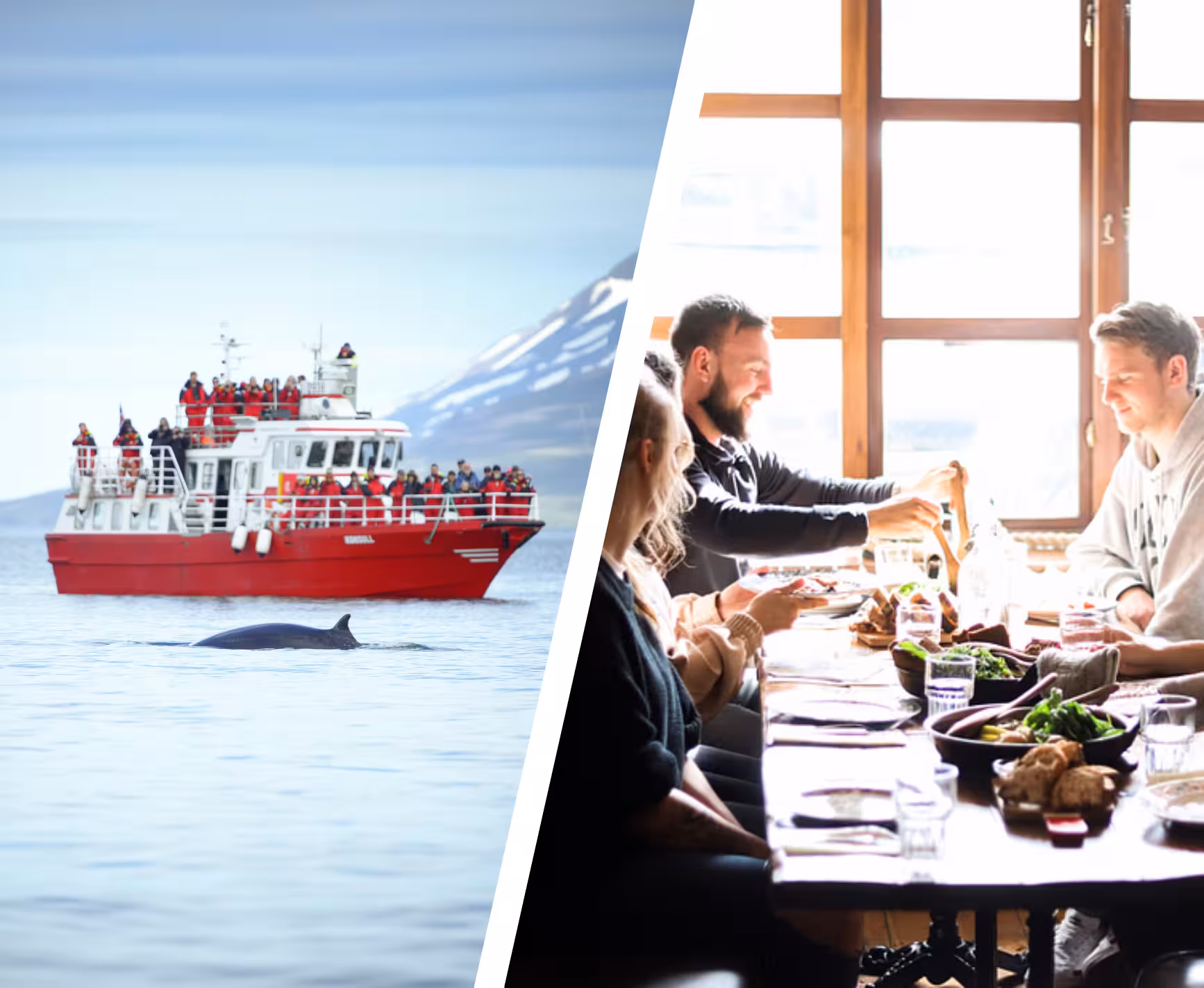Red whale watching boat near whale in Akureyri fjord alongside group dining at rustic Icelandic restaurant