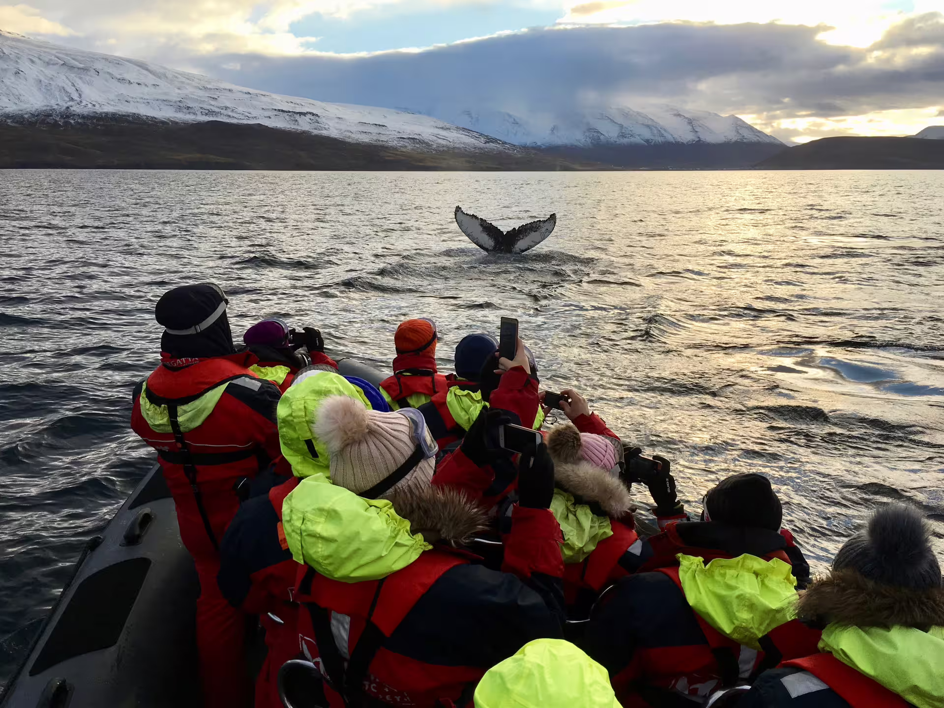 Tourists in red survival suits photographing a humpback whale tail fluke from a zodiac boat in Akureyri fjord