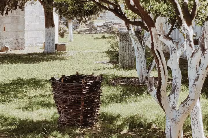 Serene garden scene in Albania with woven basket and whitewashed trees, a highlight of a private guided tour.