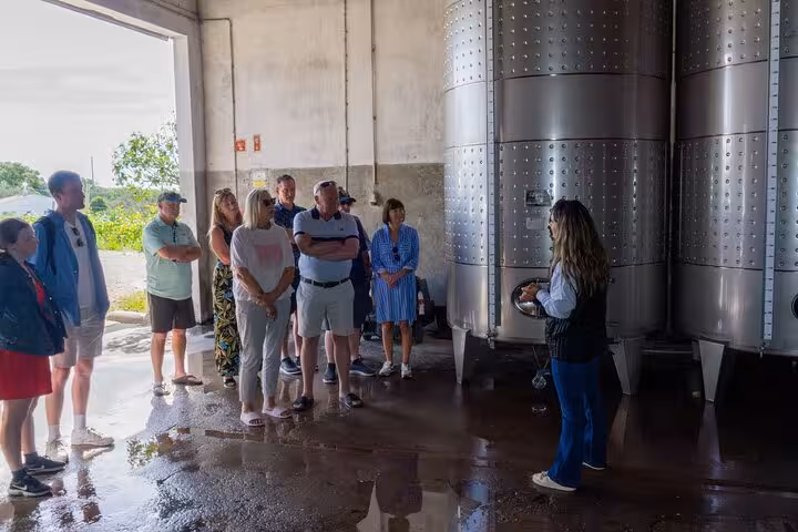 Tourists listen to a guide explaining wine production inside an Algarve winery on a full-day tour.