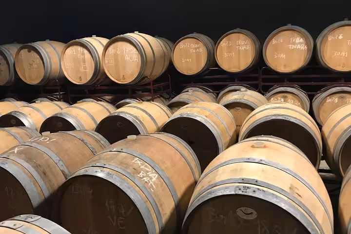 Rows of oak wine barrels aging in an Algarve winery, part of the Full-Day Tour from Albufeira experience.