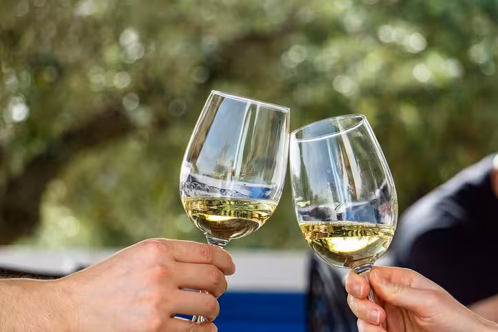 Two people toasting with white wine glasses under the sun on an Algarve winery tour from Albufeira.