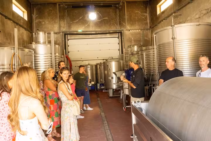 Visitors listening to a guide inside a wine production facility on the Algarve tour from Albufeira.