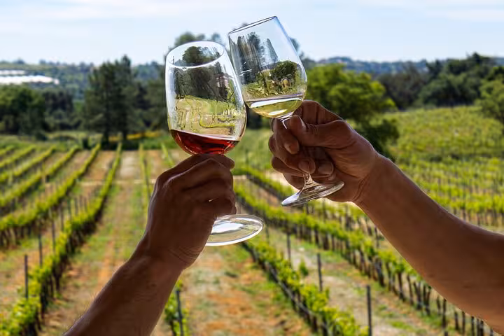 Two glasses raised in a toast over lush vineyards on an Algarve winery tour from Albufeira.