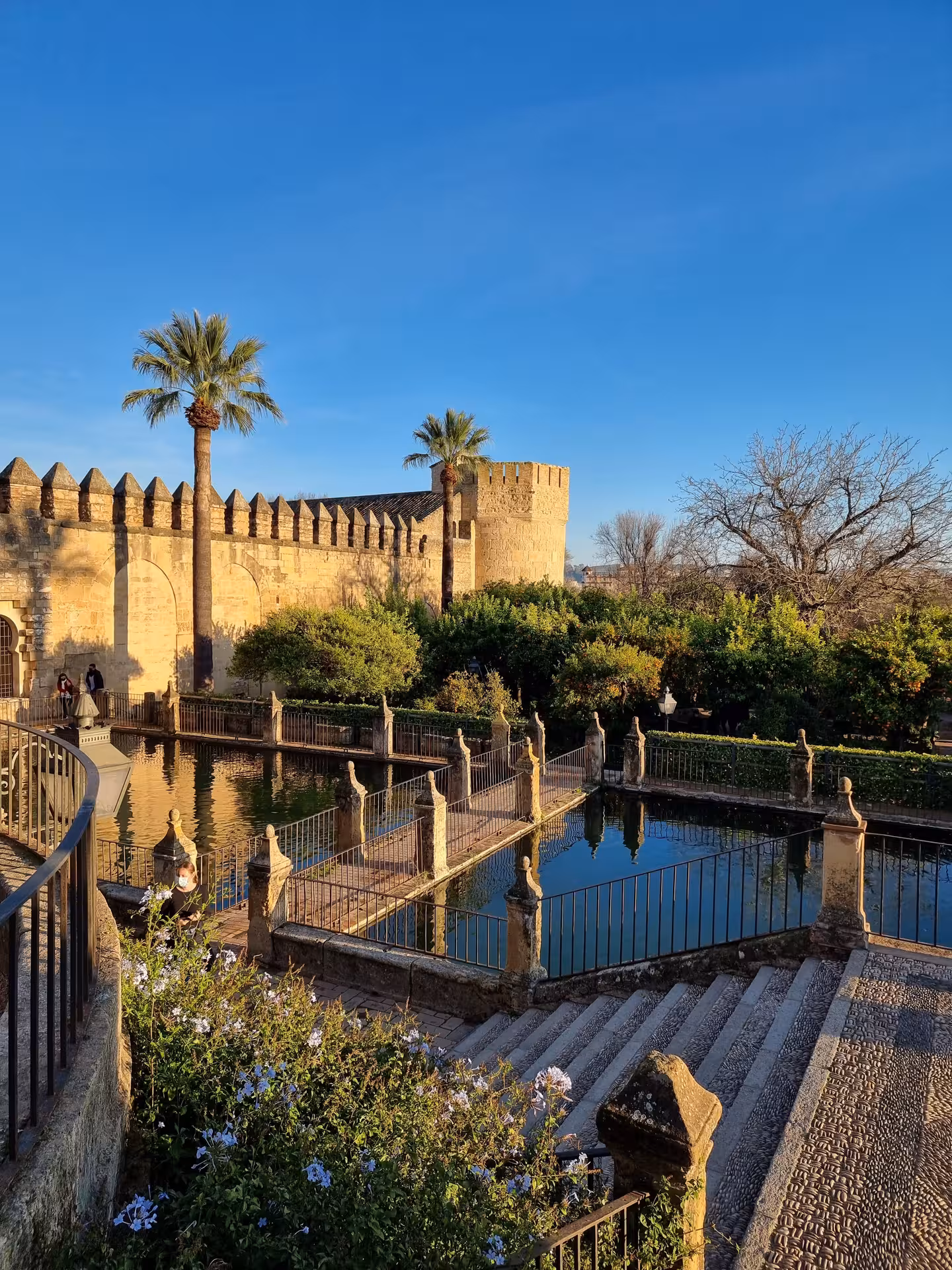 Historic stone architecture and tranquil reflective pool at the Alcázar of the Christian Monarchs in Córdoba.