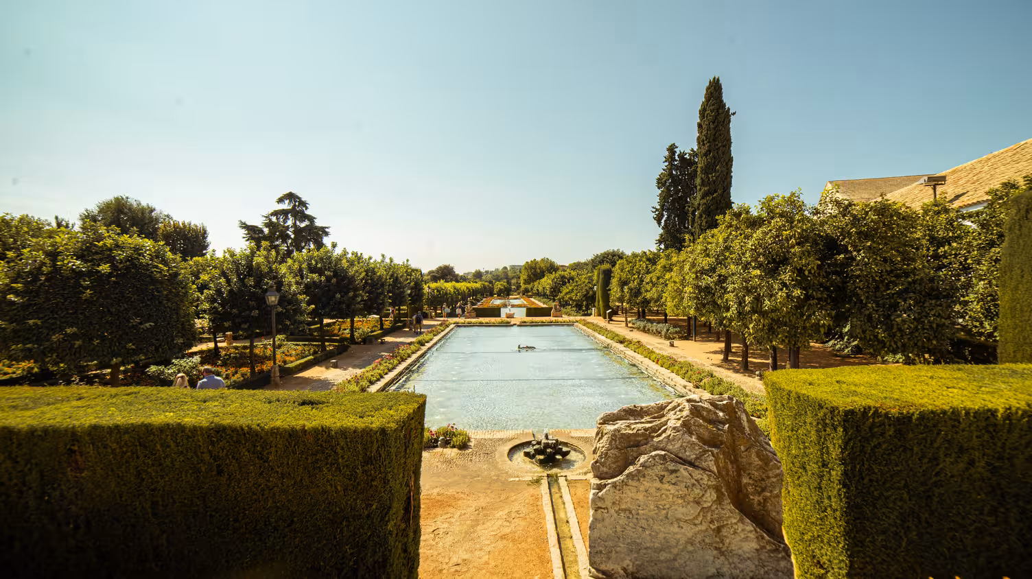 Scenic view of the Alcázar gardens with lush greenery and serene pool, perfect for a guided tour in Córdoba.