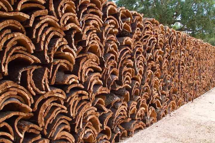 Stacked harvested cork bark slabs piled high at an Alentejo cork factory tour in Portugal
