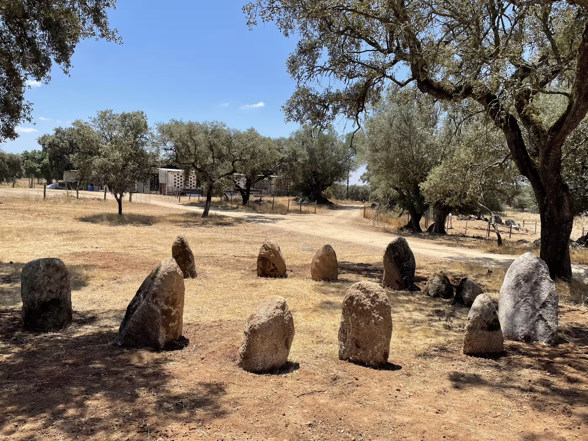 Ancient stone circle under oak trees in Alentejo, highlighting cultural heritage on a cork and farm tour.