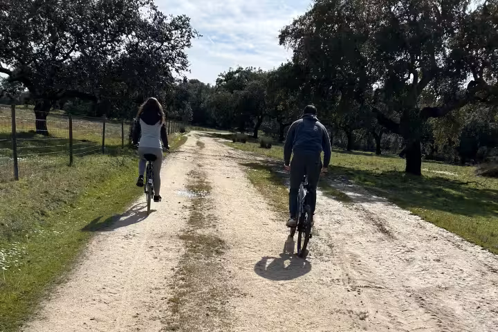 Cyclists enjoying a serene ride through the Alentejo Montado with trees lining the path on a sunny day.