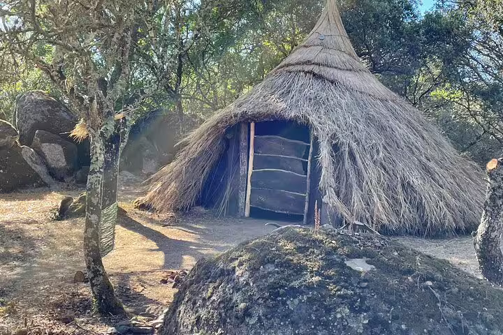 Rustic hut with a thatched roof amidst the natural setting of Alentejo, highlighting traditional architecture.