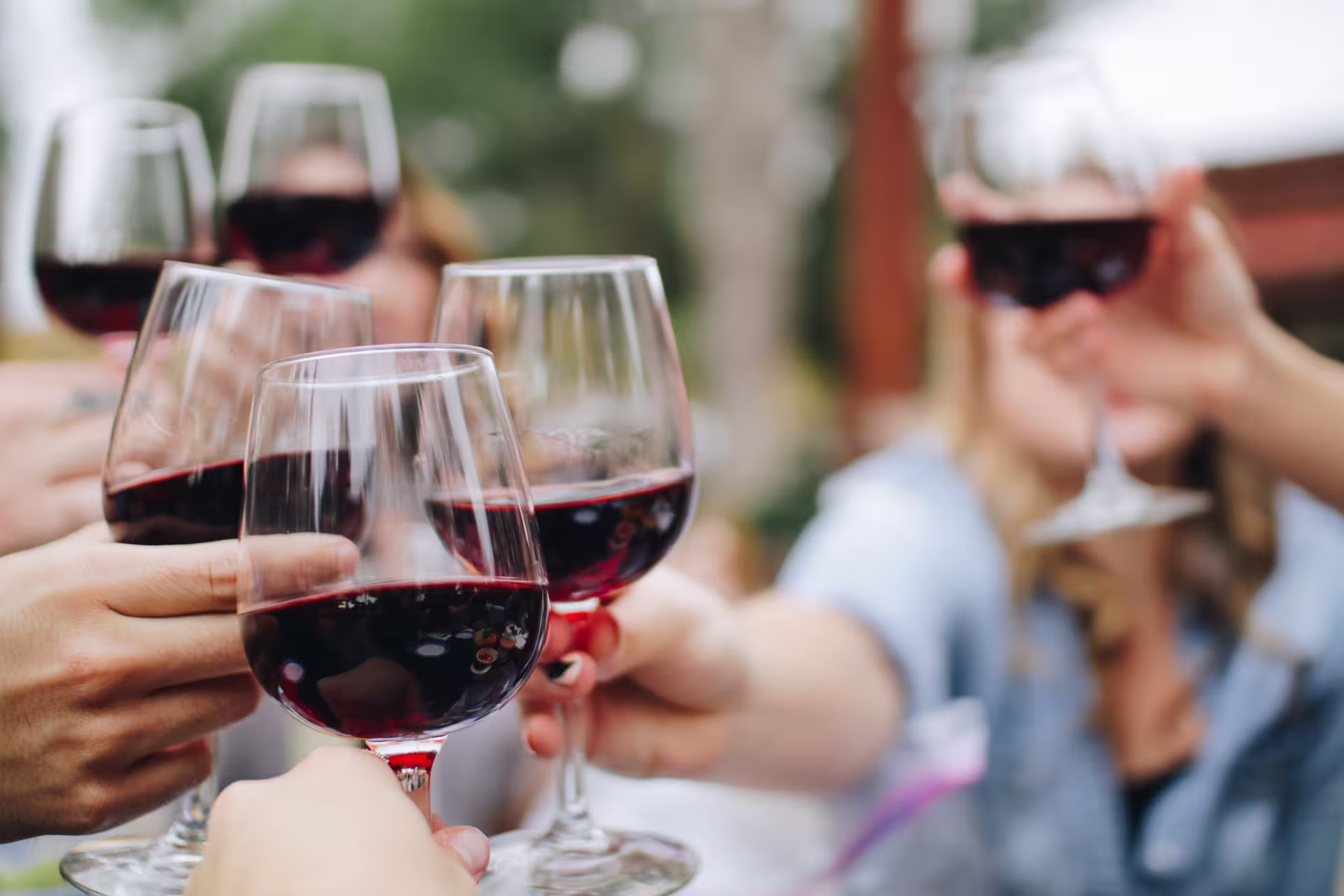 Group toasting with red wine in Alentejo vineyard experience, capturing the essence of Évora and Monsaraz tour.