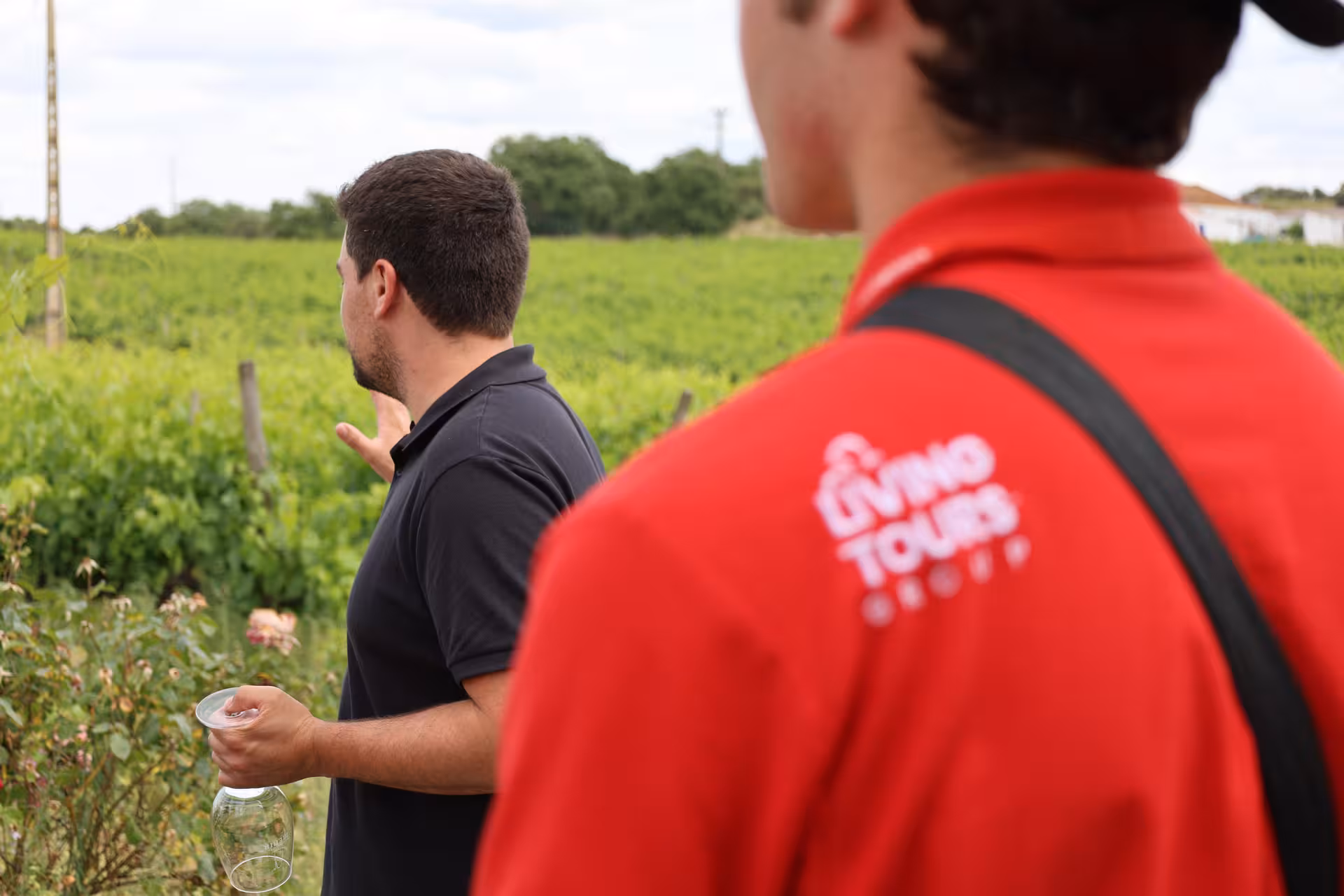 Tour guide explaining vineyard details to a small group during the Alentejo Wine Tour near Lisbon.