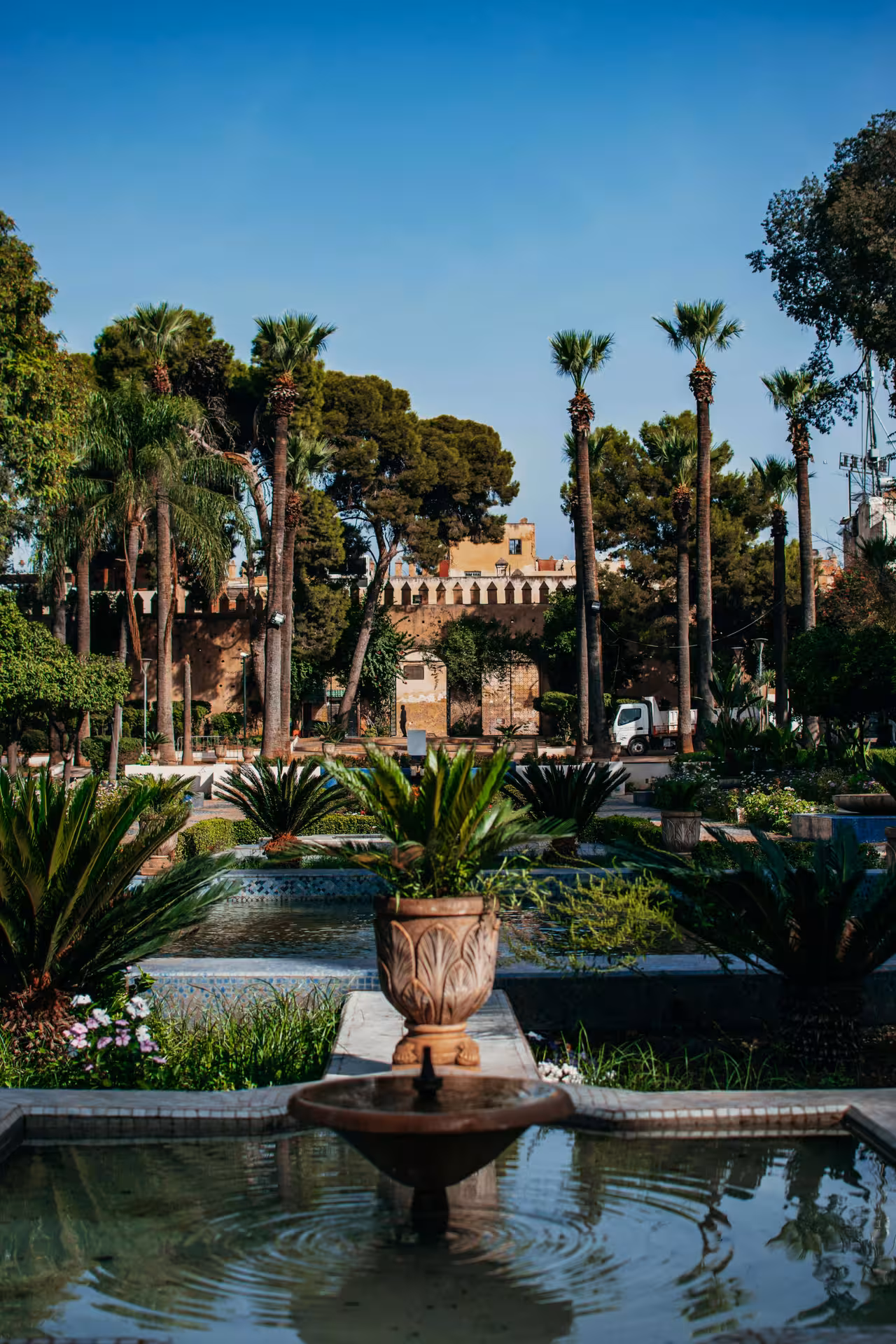 Ornate fountain and reflecting pool surrounded by palm trees and lush gardens near Alexandria royal palace