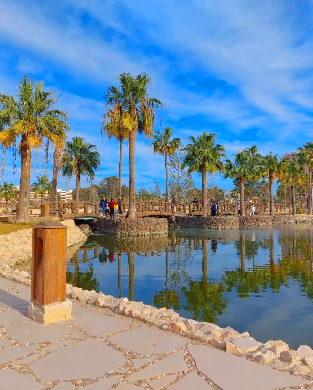 Palm-lined lake with wooden bridge in Alexandria Royal Gardens on a sunny day