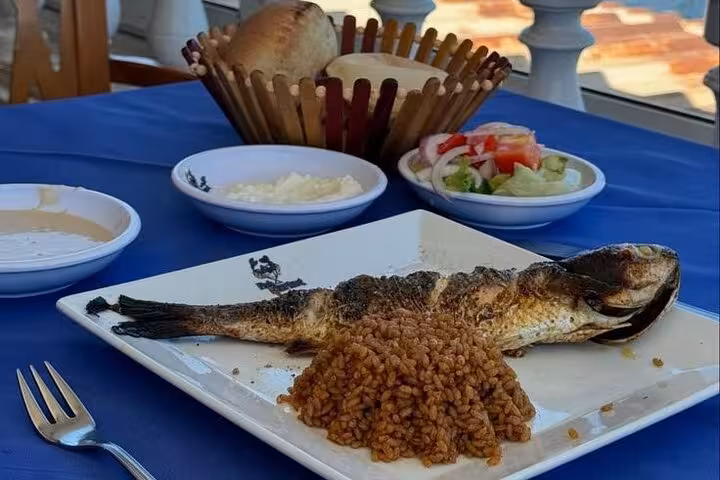 Alexandria seafood lunch on Cairo to Alexandria day tour, grilled fish with rice, salad and bread