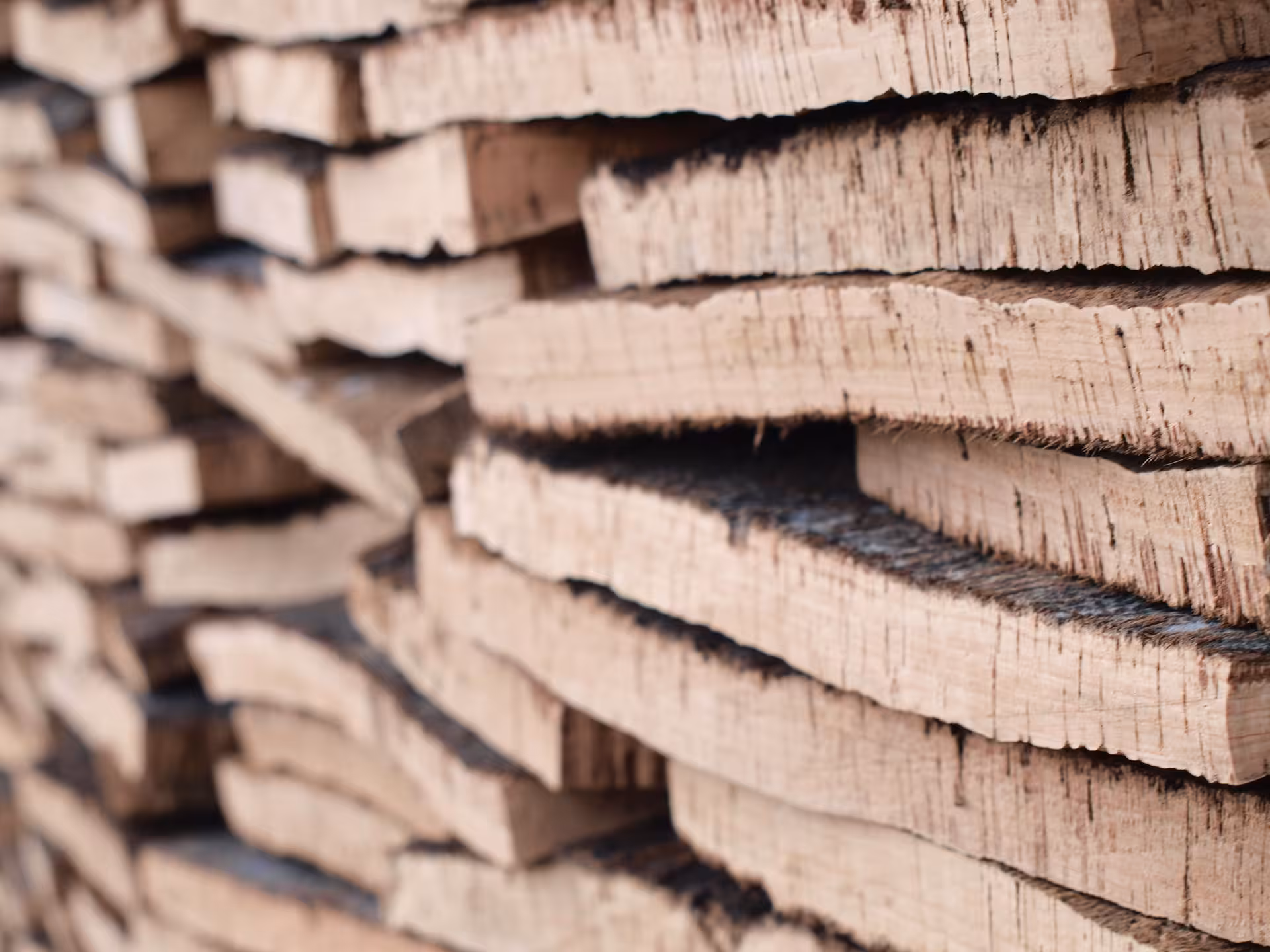 Close-up of stacked natural cork planks in the Algarve, showcasing Portugal’s traditional cork harvesting industry