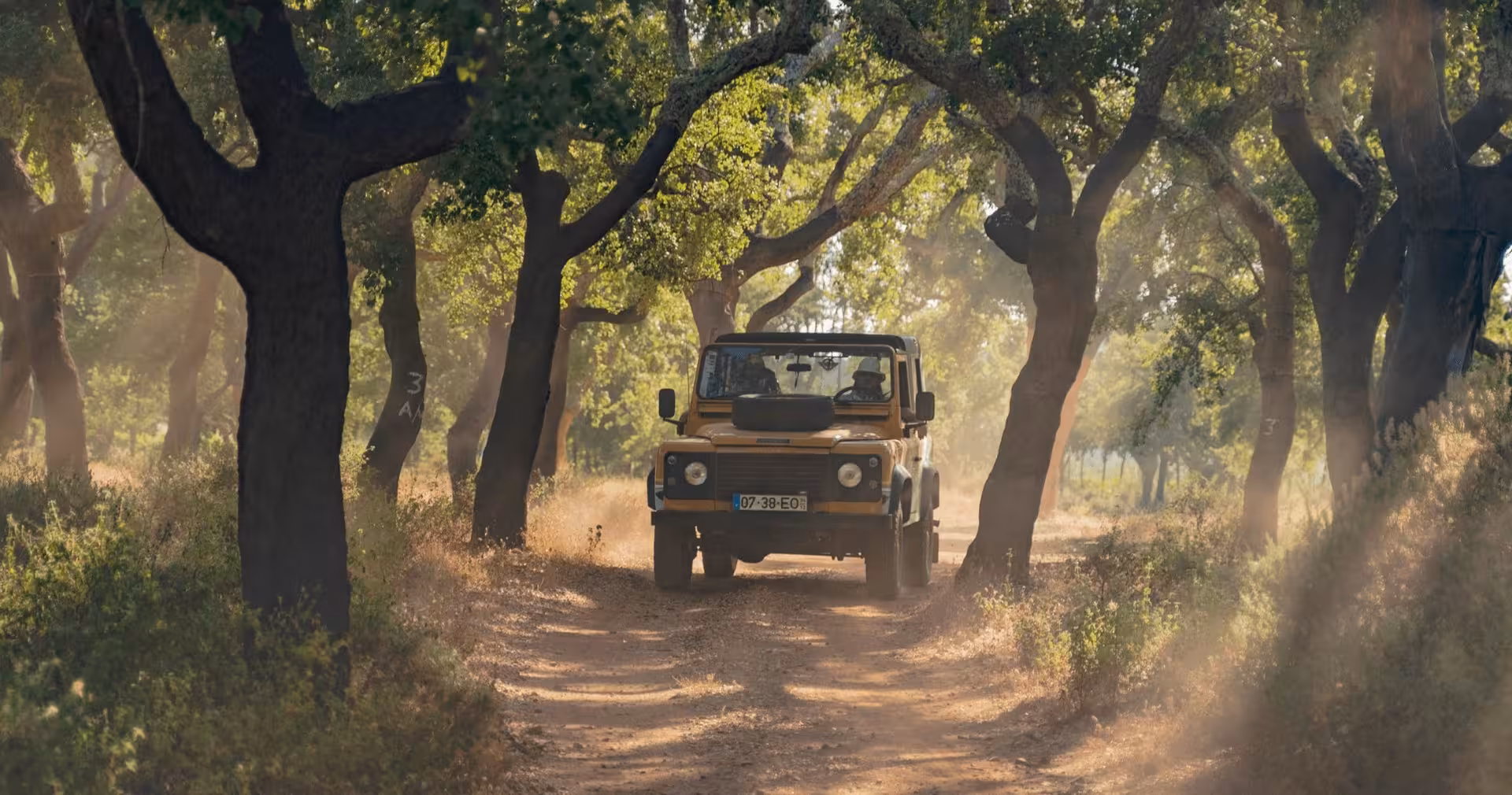 Guided Algarve Heritage Journey jeep safari driving through sunlit cork oak forest on a dusty off-road trail in southern Portugal