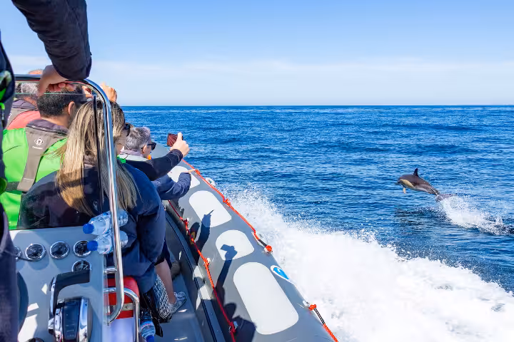 Group on a RIB speedboat in the Algarve, Portugal, on a caves and dolphins tour across the Atlantic Ocean