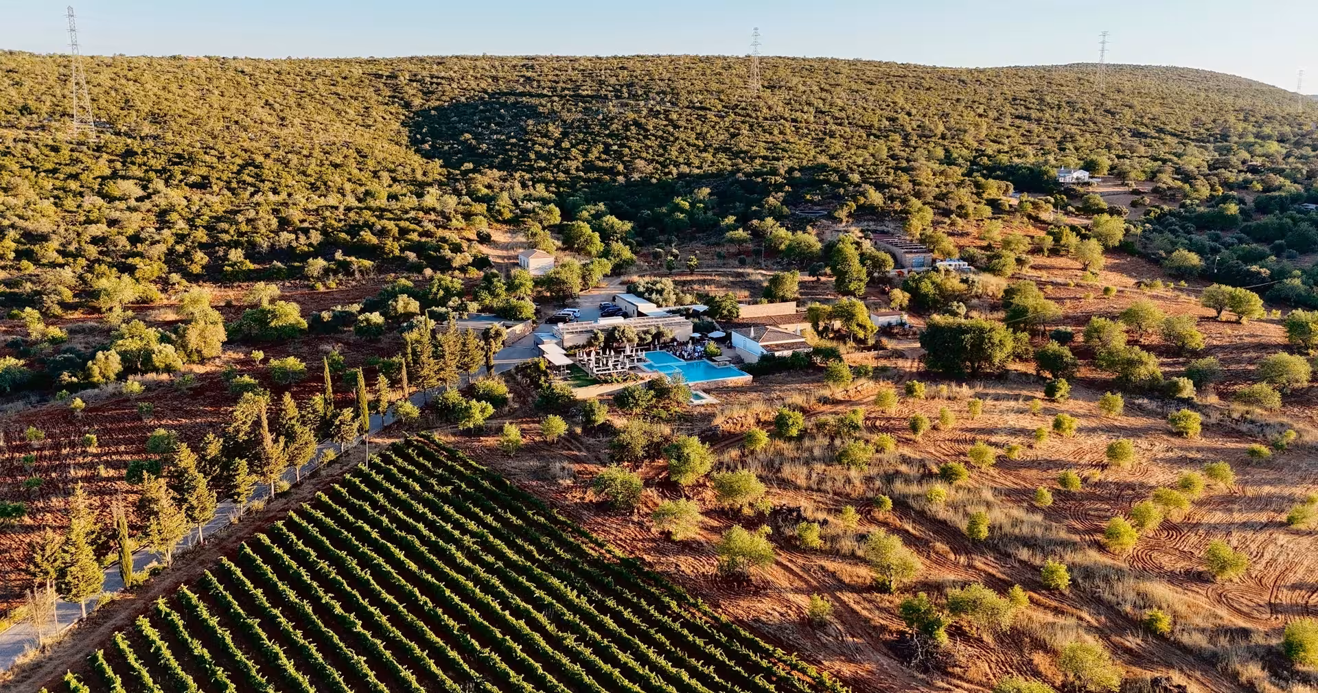Aerial view of Algarve vineyard estate with pool, olive groves and rolling hills on The Wine & Nature Escape tour