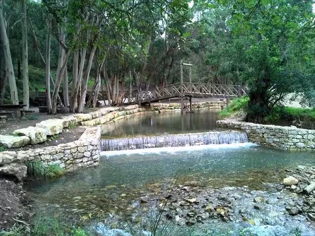 Wooden footbridge over a clear forest stream in Algarve, Portugal, on Treasures of the Algarve tour