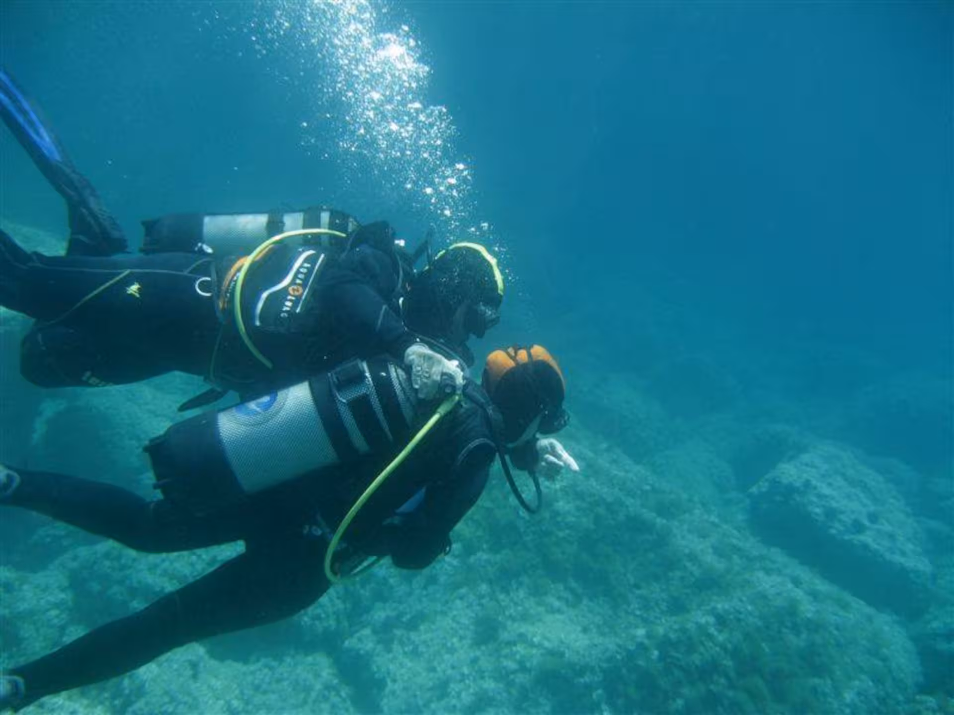 Two beginners exploring underwater landscapes in Alghero during a guided diving lesson.