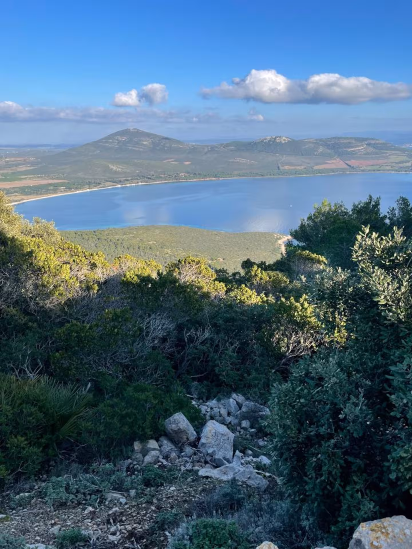 Scenic view of Porto Conte Park with lush forests and a serene bay, perfect for an Alghero ebike adventure.
