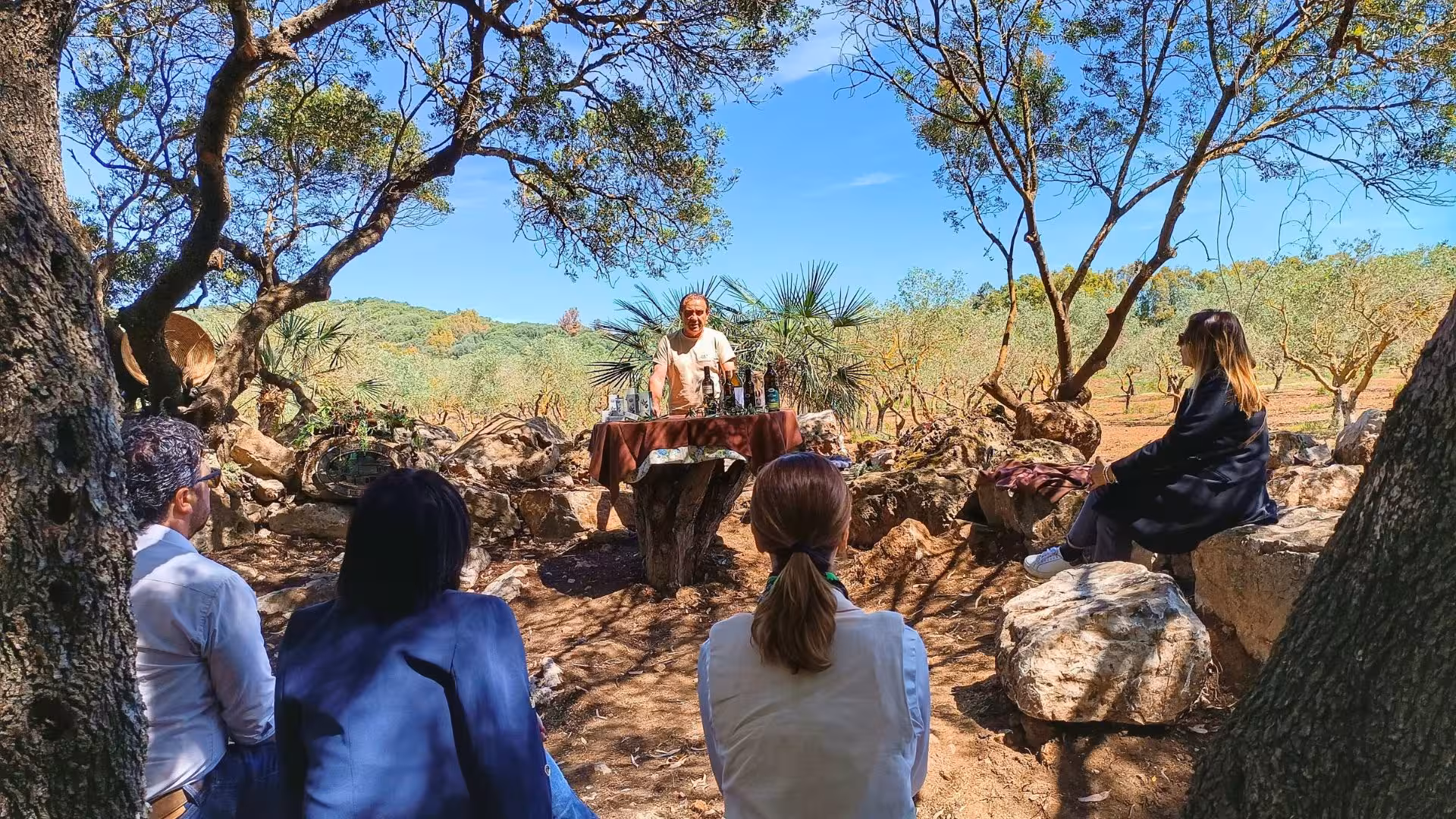 Visitors enjoying an olive oil tasting in a picturesque Alghero olive grove under clear blue skies.
