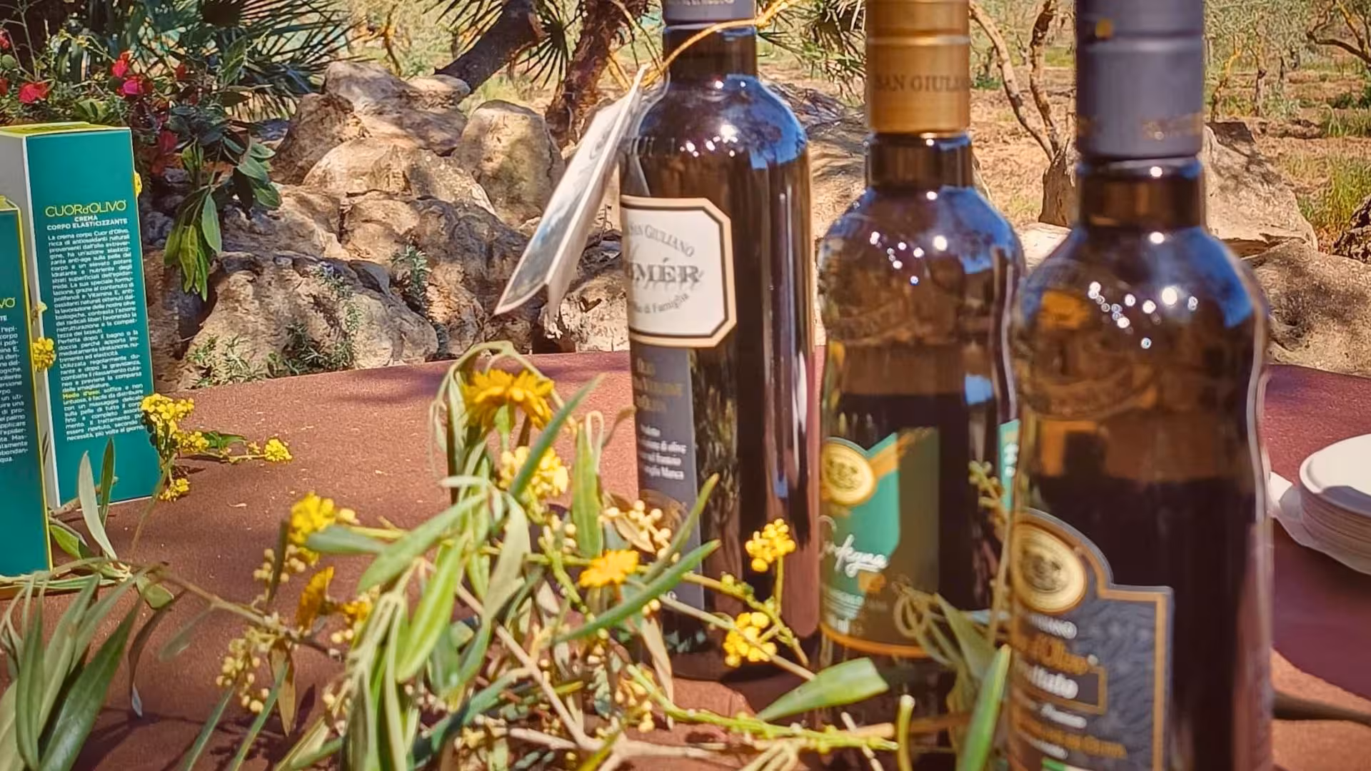 Close-up of premium olive oil bottles with olive branches on a table at an Alghero olive grove tasting event.