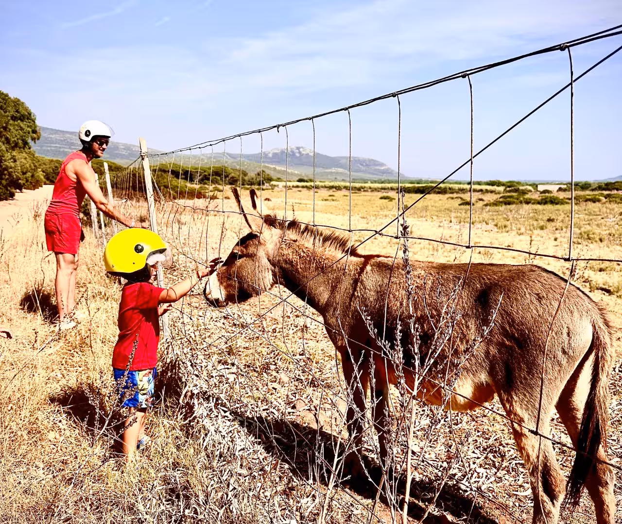 Child and adult interacting with donkey during Alghero quad tour countryside stop.