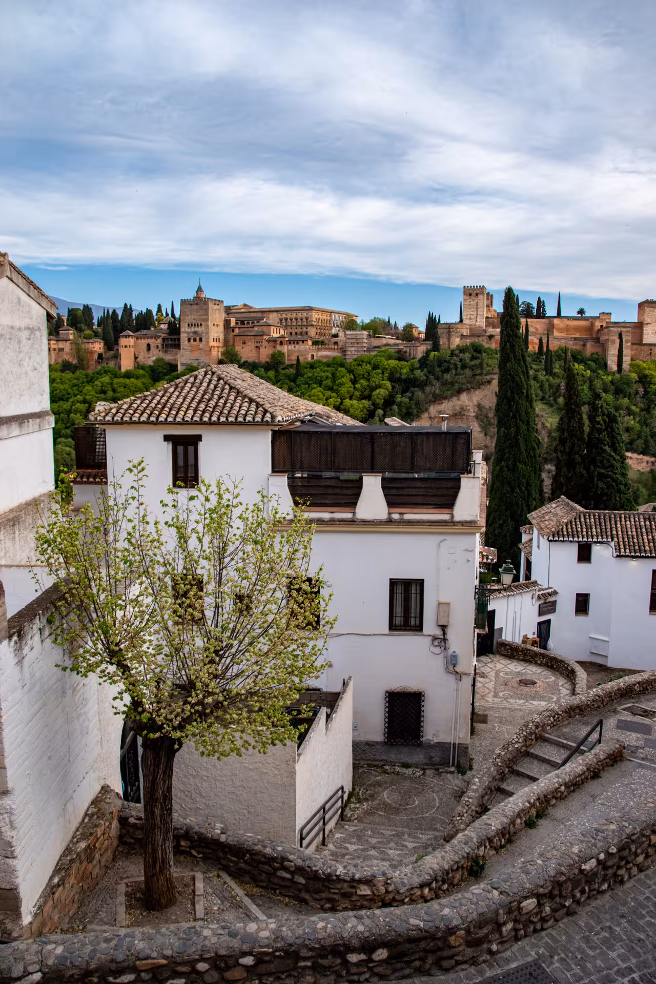 Scenic view of the Alhambra from Albaicín with charming white houses and winding cobblestone paths.