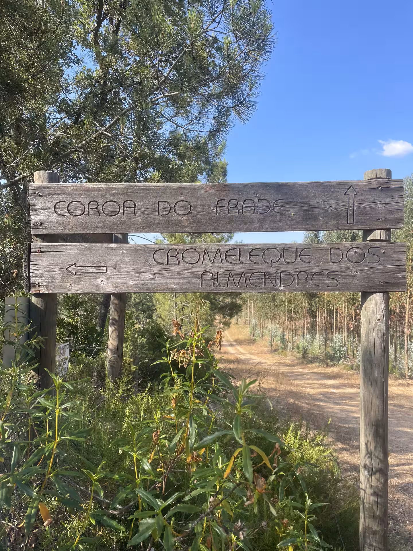 Wooden signpost amidst lush greenery marks the trail to Almendres Cromelech near Évora, ideal for guided hikes.