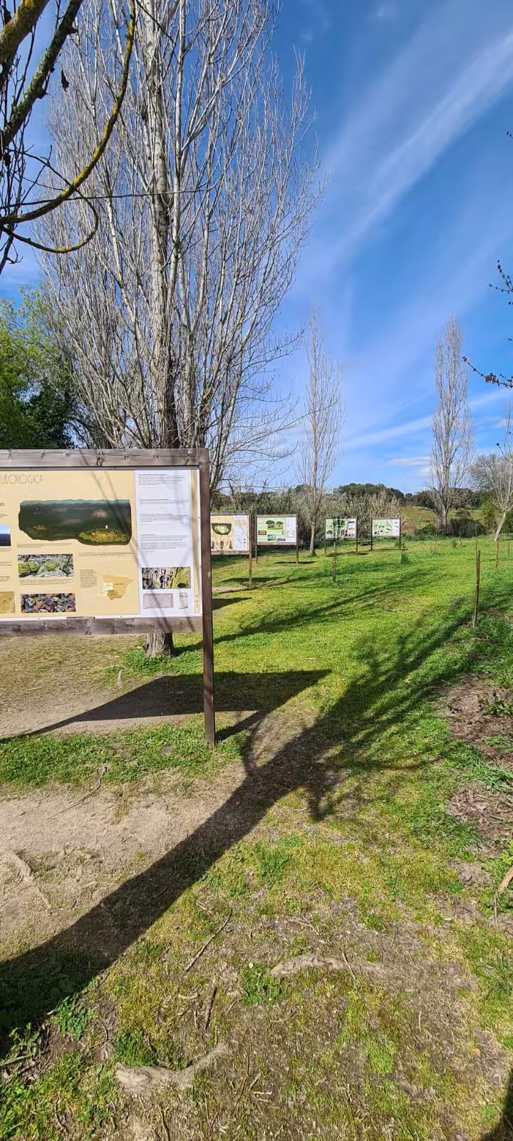 Information boards at Almendres Cromlech site in Evora, surrounded by lush greenery and clear blue skies.