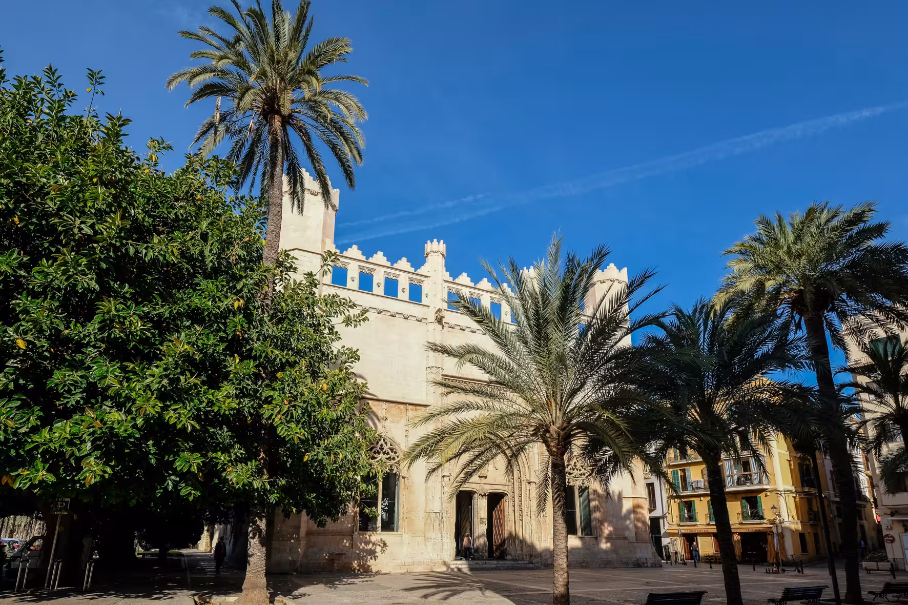 Palm-lined plaza by La Almudaina Palace in Palma old town, Mallorca, on the Misterios Locales guided tour