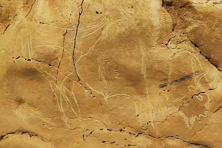 Close-up of ancient engravings on cave walls at Altamira Museum, highlighting prehistoric art near Santillana del Mar.