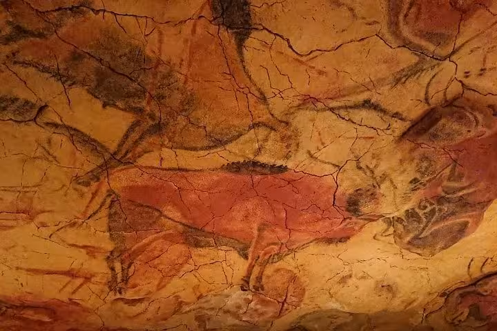 Ancient cave paintings of animals at the Altamira Museum, showcasing prehistoric art and culture.