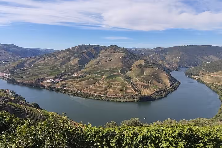 Scenic aerial view of Alto Douro Wine Region with terraced vineyards and winding Douro River valley