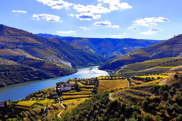 Breathtaking panoramic view of Alto Douro Wine Region terraced vineyards and Douro River in autumn