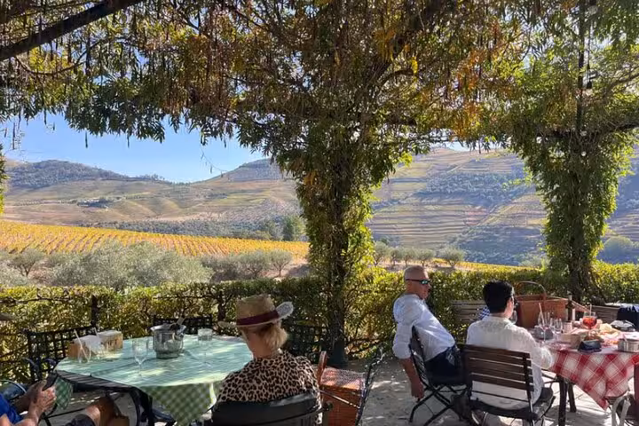 Guests dining on a scenic terrace overlooking golden Alto Douro vineyard hills on a guided wine tour