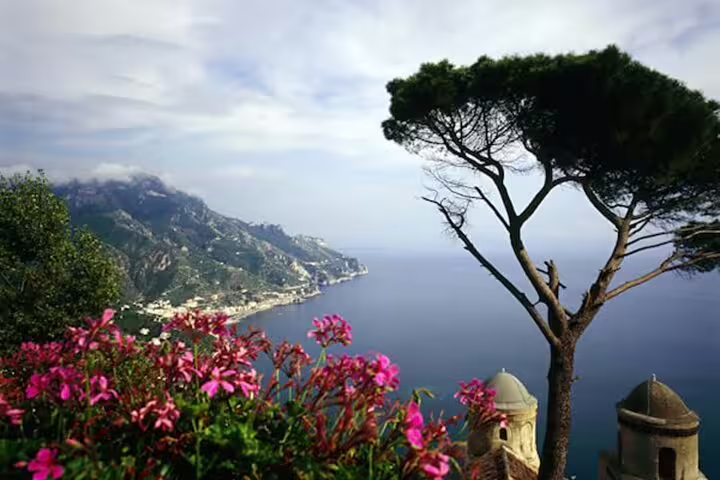 Panoramic view of Amalfi Coast coastline with pink flowers and Mediterranean pine tree from Ravello
