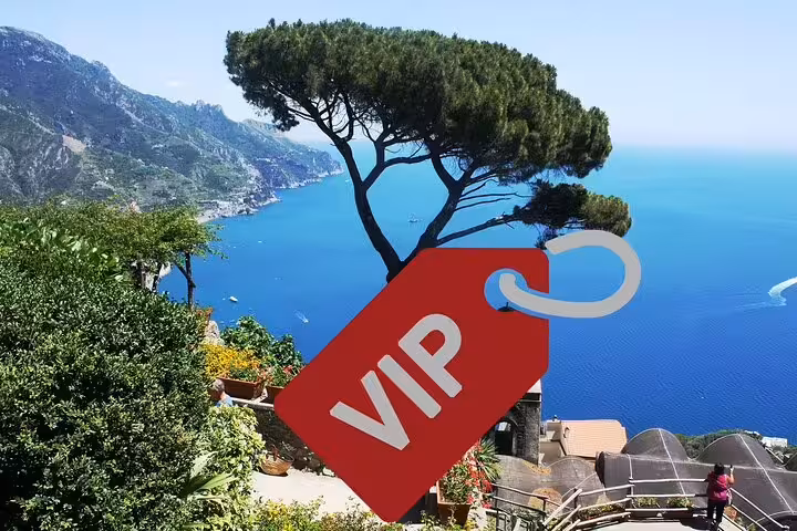 VIP tag over panoramic Amalfi Coast viewpoint with pine tree and blue sea, exclusive small group tour experience