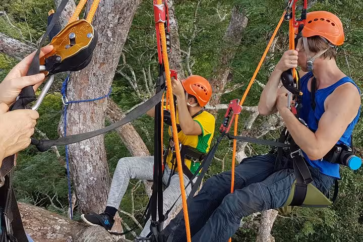Climbers in helmets use rope-and-harness system on Amazon canopy tree climbing adventure tour