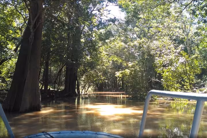 Boat cruising a flooded Amazon rainforest river channel on a 4-day Amazon Jungle Adventure Tour in Peru