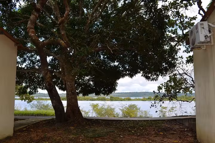 Shaded riverside lodge view under large tree in the Amazon, relaxing stop on a 4 days Amazon jungle adventure tour