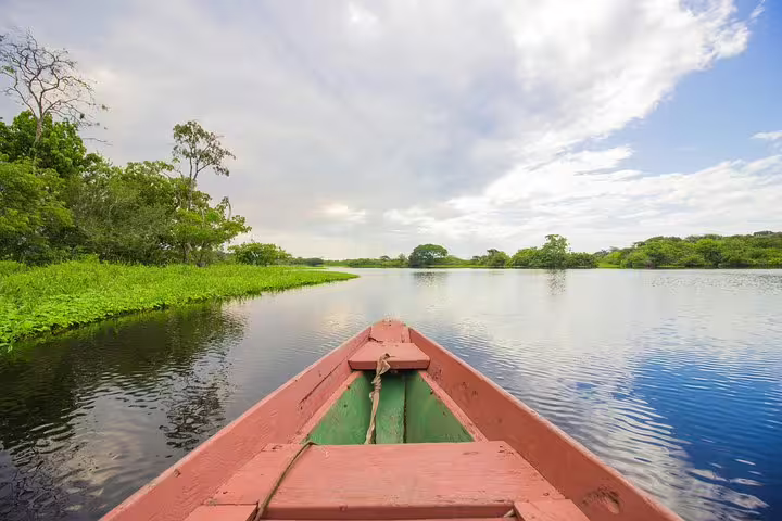 Wooden boat gliding along a calm Amazon River waterway surrounded by lush jungle near Manaus Brazil