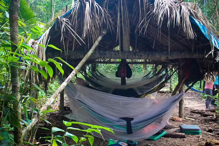 Hammock camp with mosquito net and thatched shelter in the Amazon rainforest survival tour near Manaus