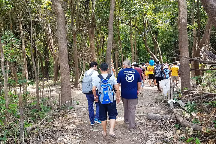 Group trekking on rainforest trail during 5-day Amazon Jungle Adventure Tour, guided hike through dense jungle