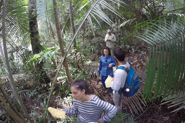 Tourists exploring lush Amazon jungle trails on guided trek at Amazon Tapiri Floating Lodge expedition.